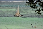 Ke�a - Ju�n� pobre�ie - Baobab Beach, Kole Kole a Maridadi