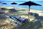 Reunion - Reunion - Le Nautile