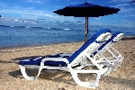 Reunion - Reunion - Le Nautile