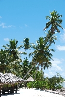 Seychely - Seychely - Desroches Island Resort