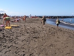 �panielsko - Kan�rske ostrovy - Tenerife - Gran Tinerfe