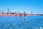 Egypt - Hurghada - Steigenberger Al Dau Beach *****