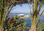 Egypt - Hurghada - Shedwan Garden ****