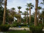 Egypt - Hurghada - Shedwan Garden ****