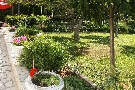 Chorv�tsko - Kvarner - Novi Vinodolski - Apartm�ny Asja