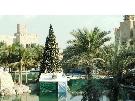 Emir�ty - Dubaj  - Madinat Jumeirah *****+ De Luxe 