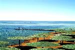 Egypt - Sharm El Sheikh - Pyramisa Resort ****