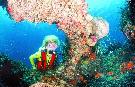 Tunisko - Mahdia - Thapsus***
