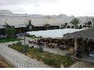 Tunisko - Djerba - Zarzis - Zita Beach Resort ****+