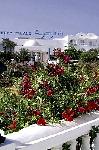 Tunisko - Djerba - Djerba Palace****