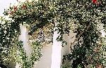 Tunisko - Djerba - Les Dunes ****