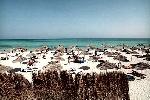 Tunisko - Djerba - Dream Park & Spa***
