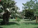 Taliansko - ostrov Sic�lia - Naxos Beach Resort ****