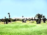 Tunisko - Djerba - Riu Royal Garden*****