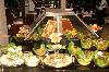 Turecko - Alanya / Avsallar / Konakli / Mahmutlar / Ocurcalar - Tureck� riviera - MC Arancia Resort *****