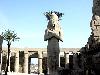Egypt - pozn�vac� z�jazd - Nefertiti Special