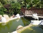Turecko - Side - Tureck� riviera - Alba Resort*****