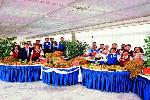 Gr�cko - Kr�ta - MARINA HOTEL & BUNGALOWS ****