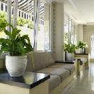 �panielsko - Katal�nsko - Costa Brava/Maresme - Loret de Mar - Augusta Club ****