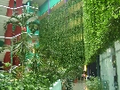 Kuba - Varadero - Barcelo Solymar ****+