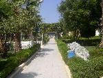 Egypt - Hurghada - Shedwan Golden Beach ***
