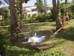 Egypt - Hurghada - Shedwan Golden Beach ***