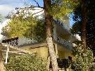 Chorv�tsko - Dalm�cia - Brodarica - Apartm�ny�Pletikosa***