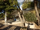 Chorv�tsko - Dalm�cia - Brodarica - Apartm�ny�Pletikosa***