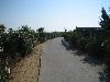 Gr�cko - Korfu - Aquis Sandy Beach****+