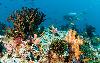 Maledivy  Male Atol Ostrov Baros Maledives*****+