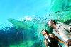 Emir�ty - Dubaj  - Atlantis The Palm *****