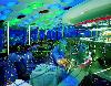 Emir�ty - Dubaj  - Burj Al Arab ****** Exclusive