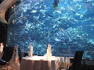 Emir�ty - Dubaj  - Burj Al Arab ****** Exclusive
