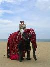 Sri Lanka - Marawila - The Beach *****