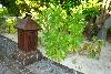 Maledivy - Male Atol - Ostrov Paradise Island Resort ****