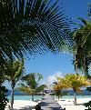 Maledivy - Male Atol - Ostrov Coco Palm Bodu Hithi *****+ De Luxe