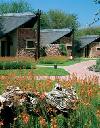 Ju�n� Afrika - Madikwe - Tau Game Lodge **** Safari