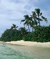 Maledivy - Addu Atol - Ostrov Handufushi Island ****