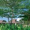 Thajsko - Koh Samui - Bo Phut Resort & SPA ****+