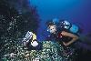 Maur�cius - Grand Bay - Le Mauricia ****