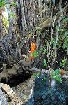 Maur�cius - Pointe aux Cannoniers - Le Cannonier ****