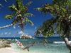 Seychely - Ostrov Cousine - Cousine Island ***** Exclusive