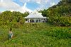 Seychely - Ostrov Cousine - Cousine Island ***** Exclusive