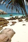 Seychely - Ostrov Cousine - Cousine Island ***** Exclusive