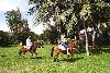 Vietnam - Phan Thiet - Victoria Beach Resort & SPA ****+