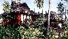 Thajsko - Phi Phi  - Phi Phi Island Village ****