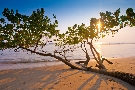 Thajsko - Ko Chang  - Klong Prao Resort ***+
