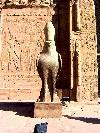 Egypt - pozn�vac� z�jazd - Isis ****  ( Plavba po N�le + Hurghada )