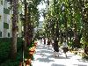 Turecko - Alanya / Avsallar / Konakli / Mahmutlar / Ocurcalar - Tureck� riviera - Botanik World of Paradise *****