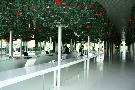 Turecko  Belek - Tureck riviera Royal Adam & Eve Hotel*****